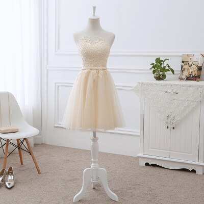 Vestido de Festa em Crepe com Apliques e Amarração Traseira em Champanhe