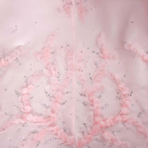 Rosa Stellata — imagem 12