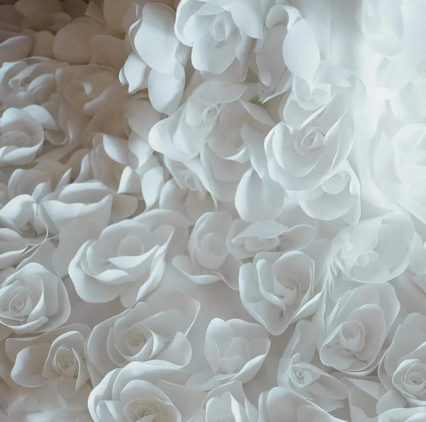 Pérola Soberana — imagem 5